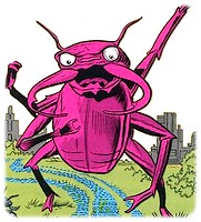 scarabee-rouge-le_1.jpg