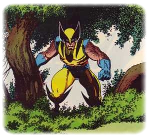 Wolverine-Forest.jpg