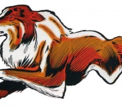 Image de présentation de Blaze (colley)