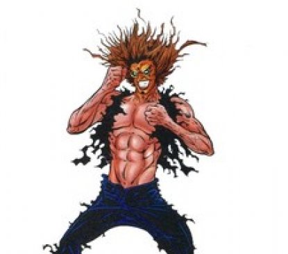 Image de présentation de Wild Man (le)