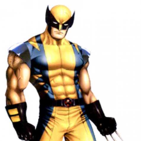 Image de présentation de Wolverine