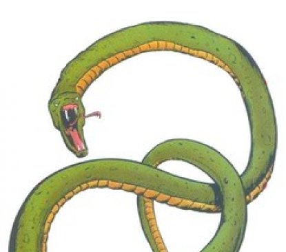 Image de présentation de Pythons de Princesse Python (les)