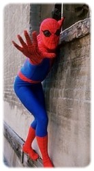 Spider-Armée (la) n°27